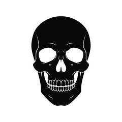 Fototapeta premium Highly Detailed Black and White Skull Vector Illustration, Human Skeleton Head