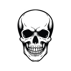 Obraz premium Highly Detailed Black and White Skull Vector Illustration, Human Skeleton Head