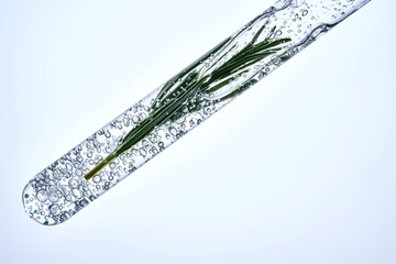 The texture of the serum in a test tube with rosemary.
