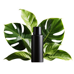 Natural cosmetics in empty black bottle with tropical green leaves on background in png format. Skin cream in black plastic bottle stands on transparent background