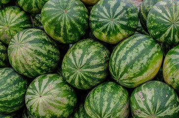 Watermelons in the market. Close up of watermelons.