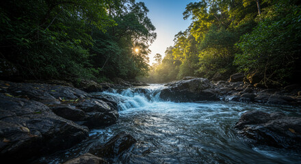 Forest stream sunlight view