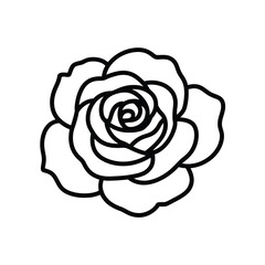 Simple outline drawing of a beautiful rose flower
