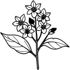 Obraz premium Vector illustration of a flower, Black and white flowers