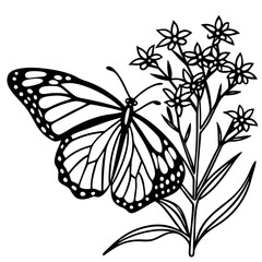 Butterfly on transparent background, monarch butterfly on  goldenrod 