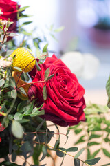 Red rose flower in bloom with smooth petals on an interior scene bouquet