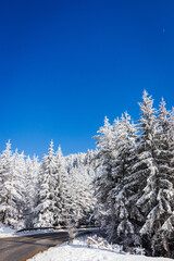 Winter adventure in the mountains. Winter's vacation.