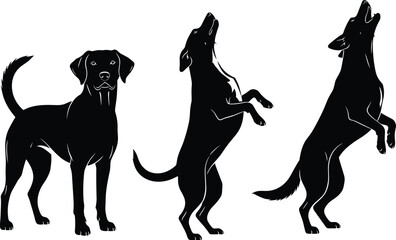 Silhouette of playful dogs jumping and standing, isolated on white background, showcasing energetic canine poses for pet-themed designs, illustrations, graphics