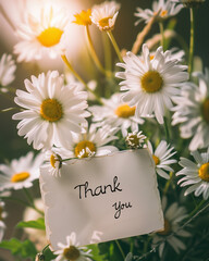 Obraz premium text thank you