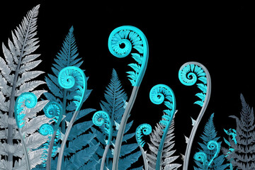 A vector illustration of bioluminescent New Zealand ferns with glowing frond spirals