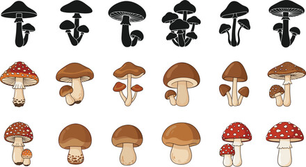 Mushroom species variety, nature illustration set, silhouette and colored fungi, botanical collection, forest mushrooms clip art, spore cap diversity, educational fungus artwork