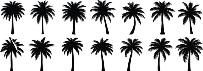 Palm Tree Silhouette Pack, Tropical Nature Icons, Black Vector Clipart for Summer Design, Coastal Vibes, Jungle Elements, Exotic Plant Set for Adobe Stock