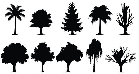 Set of plant and tree silhouette white background