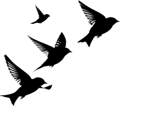 Dark, abstract, splotchy image with faint colored streaks