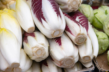 Chicory salad with red veins on white leaves close-up. Used in salads for its crunch and bitter taste. Rich in vitamins and minerals. A great addition to a healthy diet.Natural ecological product.