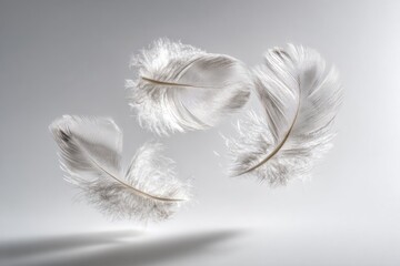 Floating White Feathered Pattern Design