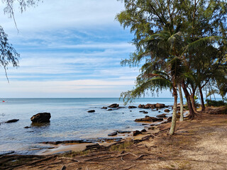 Scenic coastal view with palm trees and rocky shoreline under a clear blue sky