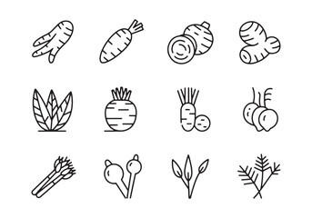 Collection of twelve black and white line art icons of root vegetables and herbs on a white background