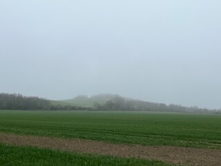 morning mist over the field