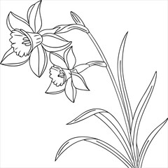 lily of the valley isolated on white