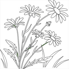 floral background with flowers