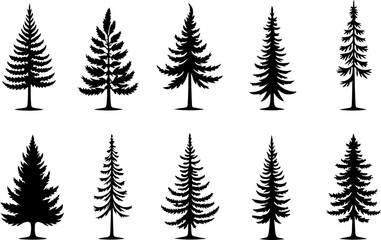 Tree  Pine, Fir & Deciduous Tree Icons vector bundle