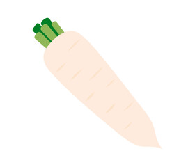 Fresh white radish. Vegetable icon. Healthy vegetarian food. Hand drawn flat vector illustration isolated on white background