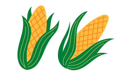 Corn. Vegetable icon. Healthy vegetarian food. Hand drawn flat vector illustration isolated on white background