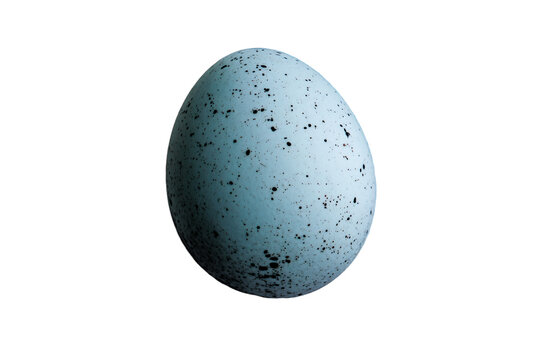 a blue egg with a speckled pattern on it