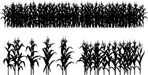 A black corn field. Maize field silhouette design vector illustration
