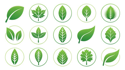 Collection of fifteen green leaf icons with various shapes and designs on a white background