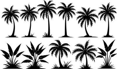Fototapeta premium Desert & Tropical Plant Silhouette Set – Cactus, Palm Tree, and Succulent Icons vector bundle