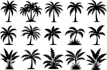 Desert & Tropical Plant Silhouette Set – Cactus, Palm Tree, and Succulent Icons vector bundle