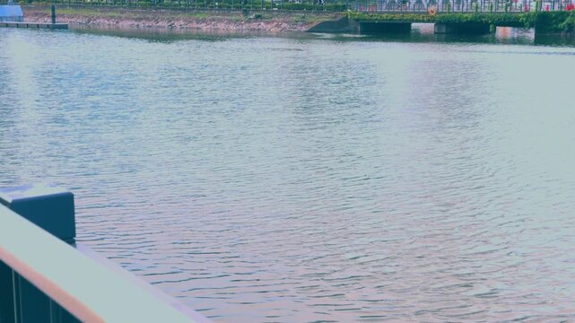 【4K HS120 LUT撮影】川