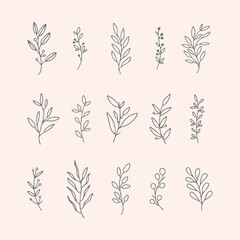 Minimal botanical floral hand drawn in line art style