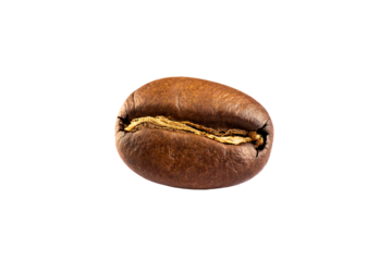 a coffee bean with a brown and yellow stripe