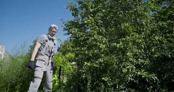 Man in work overalls moves electric garden wood chipper on grass near lush bushes and trees on sunny summer day, preparing for garden cleaning, backyard maintenance, eco-friendly recycling of branches