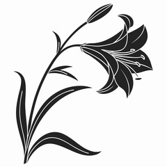 Naklejka premium Elegant Black Silhouette of a Beautiful Lily Flower with Buds and Leaves