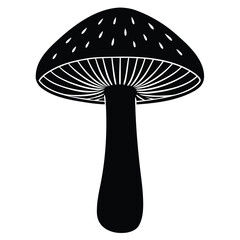 Black mushroom with white spots and gills fungus nature