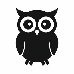 owl on white background
