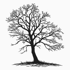 Striking Silhouette of a Leafless Tree in Winter Against a Pale Background