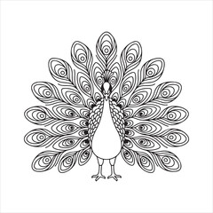 Peacock Line Art Vector Illustration,Black and White Peacock Outline Design,Decorative Peacock with Open Feathers,Peacock Bird Silhouette with Feather Pattern,Stylized Peacock Tail Spread Vector