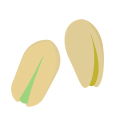ピスタチオのイラスト
