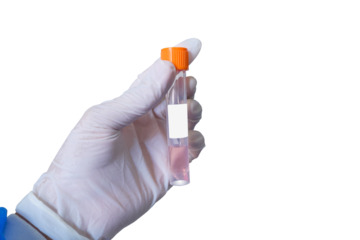 Close-up cutout doctor hands who holding medical test kit for use in diagnosing diseases in patients, medical equipment