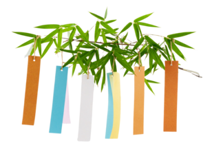 Colorful Paper Wishes Hanging from Bamboo Branch – Traditional Tanabata Decoration PNG