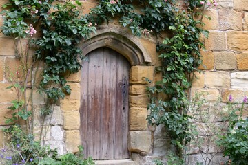 Wooden arched door nestled into a rustic stone wall, gently embraced by climbing ivy and garden greenery in Mount Grace Priory - East Harlsey - North Yorkshire - UK