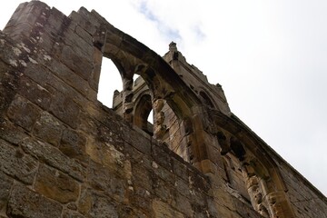 Weathered stone façade with arched windows reaches skyward; ancient craftsmanship meets fleeting...
