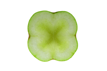 a green apple cut in half on a white surface