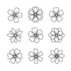 Obraz premium Intricate Floral Patterns: A Capital Collection of Nine Beautiful and Unique Flower Designs in Black and White