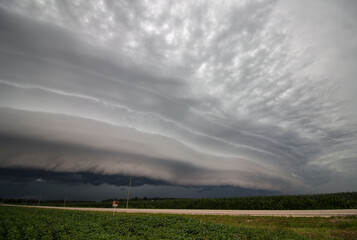 A shelf cloud accompanies a line of severe storms, with corn and bean fields in the foreground.
